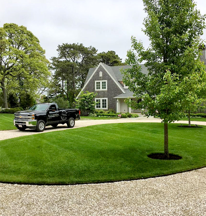 Fantastic example of the lush, green yard our organic lawn care service produces, here in Old Saybrook, CT